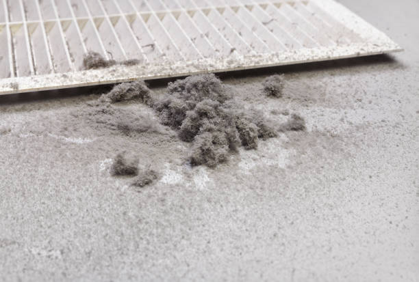 Best HVAC System Cleaning  in Brighton, IL