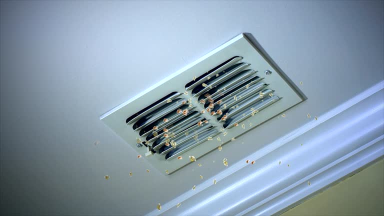 Best Duct Cleaning for Homes  in Brighton, IL